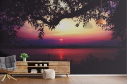 Carta da Parati Alba Tramonto Foreste e Alberi Spiaggia e Mare