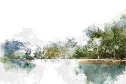 Wallpaper landscape forest on the lake nature watercolor