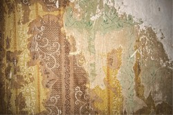 Carta da Parati superficie muro cemento decori vintage