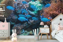 Tropical Fish and Natural Corals Children's Wallpaper Nemo-57
