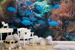 Wallpaper Animals Birds Aquatic World