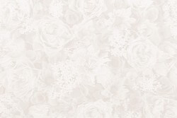 Carte da Parati fiori bianchi