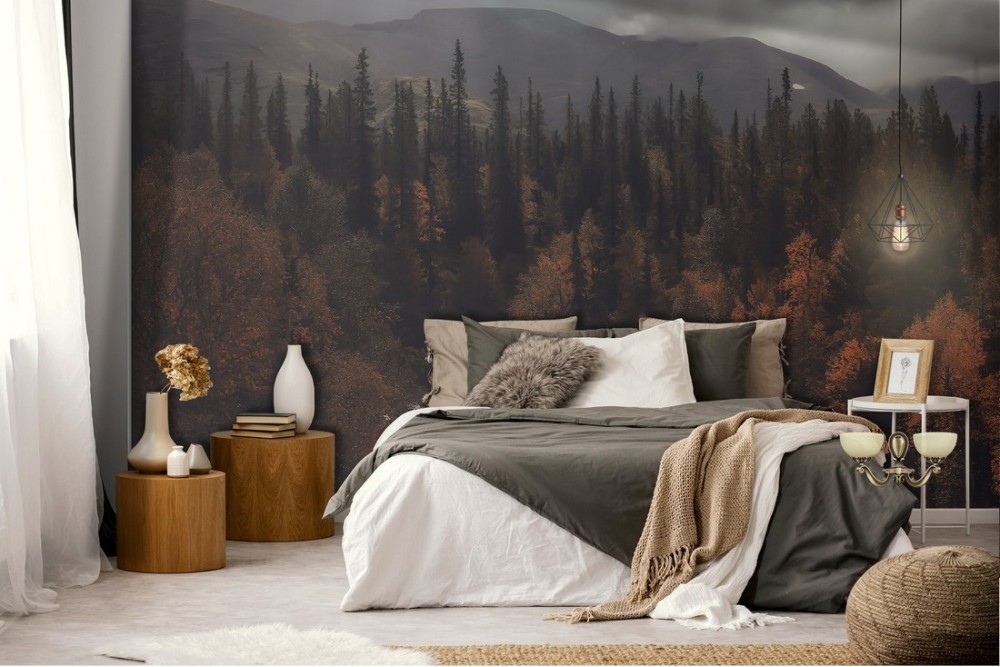 Wallpaper river in the forest autumn landscape trees