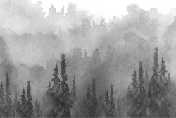 Carta da Parati Design e Stili Flora e Fauna Paesaggi e Natura Dipinti e Acquerelli Foreste e Alberi